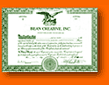 Stock Certificate